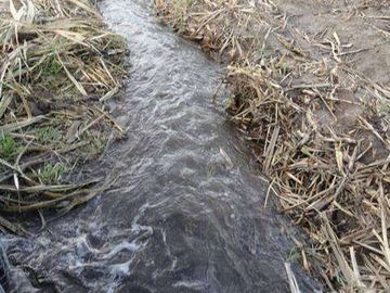 Venta de Propiedad de 66 hectáreas en Salinas de Ibarra