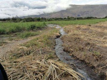 Venta de Propiedad de 66 hectáreas en Salinas de Ibarra