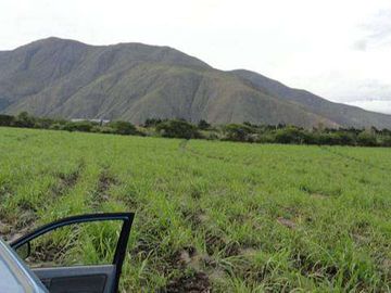 Venta de Propiedad de 66 hectáreas en Salinas de Ibarra