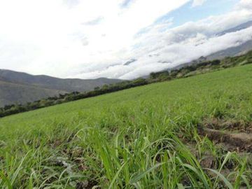 Venta de Propiedad de 66 hectáreas en Salinas de Ibarra