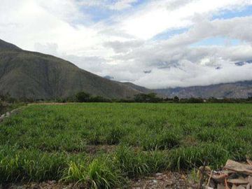 Venta de Propiedad de 66 hectáreas en Salinas de Ibarra