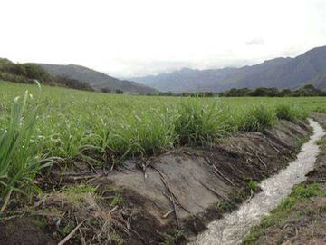 Venta de Propiedad de 66 hectáreas en Salinas de Ibarra