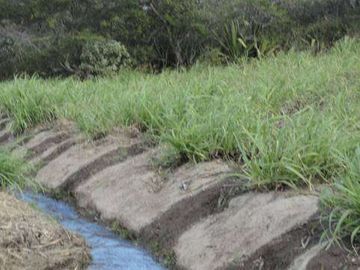 Venta de Propiedad de 66 hectáreas en Salinas de Ibarra