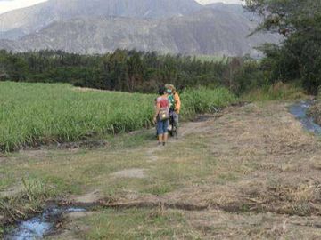 Venta de Propiedad de 66 hectáreas en Salinas de Ibarra