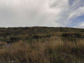 Venta de Propiedad de 66 hectáreas en Salinas de Ibarra