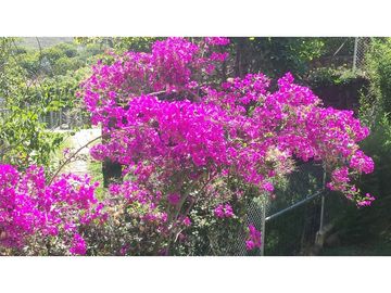 VENTA FINCA EN COPACABANA