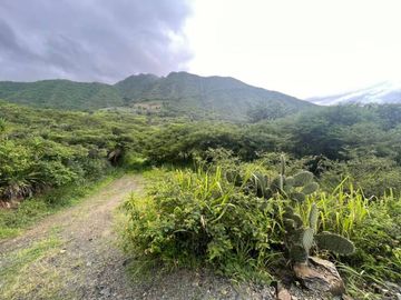 Se vende terreno en Vilcabamba