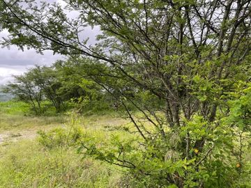 Se vende terreno en Vilcabamba