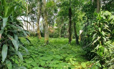 TERRENO  HERMOSO EN  FRACCIONAMIENTO PRIVADO EN LA ORDUÑA  COATEPEC