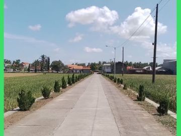 Tanah Dijual Murah SHM Bisa Dicicil Jln. Nasional Pendowo Purworejo