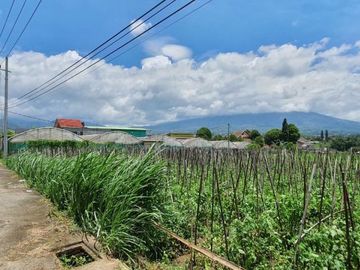 SPESIAL HARGA MURAH!! TANAH SIAP BANGUN VILLA