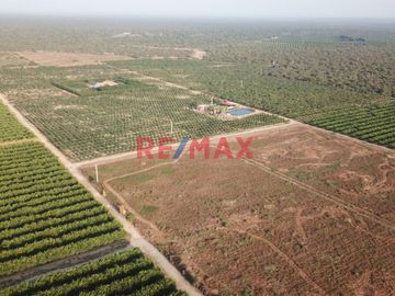 146 hectáreas tituladas en Olmos sector tierra Rajada, listas para sembrar todo tipo de productos para agro exportación, buen clima todo el año, cerca