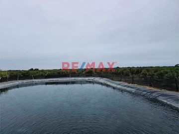 146 hectáreas tituladas en Olmos sector tierra Rajada, listas para sembrar todo tipo de productos para agro exportación, buen clima todo el año, cerca