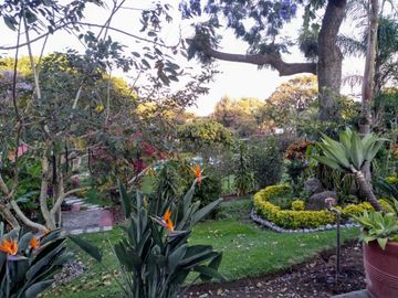 Casa Sola en Jardines de Delicias Cuernavaca - ROVA-10-Cs