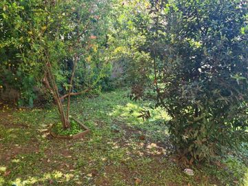 Vende Casa De Tres Pisos y Loft Independiente Los Almendros Reñaca