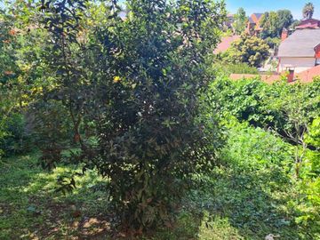 Vende Casa De Tres Pisos y Loft Independiente Los Almendros Reñaca