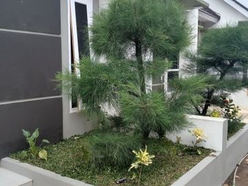 cluster pinggir jalan dekat dengan sekolah