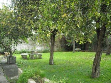 CASA EN LOTE DE 8.66 X 50 CON DOS DORMITORIOS A REFACCIONAR Y OTRO LOTE LIBRE DE 8.66 X 50 OPORTUNIDAD