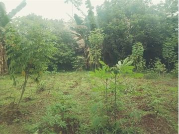 Di jual Tanah murah dipinggir jalan di Sawangan Depok