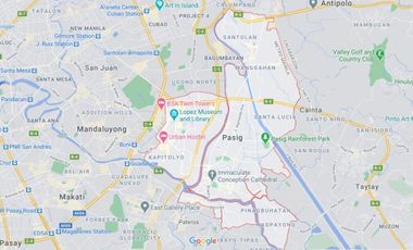 Commercial Property with Rental Income in Pasig City