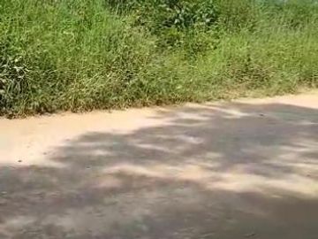 VENTA DE TERRENO EN PACHACAMAC