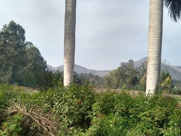 VENTA DE TERRENO EN PACHACAMAC