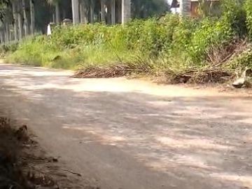 VENTA DE TERRENO EN PACHACAMAC