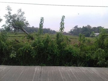 Dijual cepat Sawah kering, Pasir Limus, Paramayan, Serang