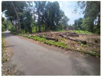 Hunian Klasik Dengan Pintu Gebyok Yang Cantik Dalam Karta Nirwana