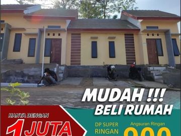 rumah murah area kedungrejo kab malang