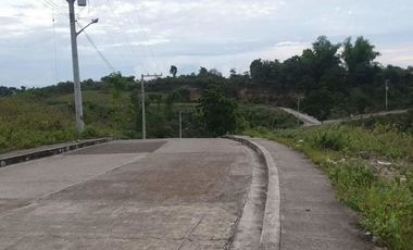 OVERLOOKING 263 SQM Lot for Sale in VISTA VERDE CONSOLACION CEBU with Scenic Mountain Views