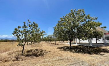 Terreno en venta en Linares Nuevo León