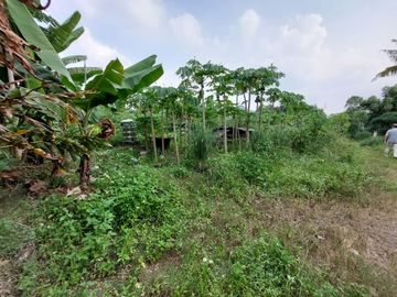 BU, Tanah Bawah Harga Pasaran di Kawasan Elit & Eksklusif Raffless Hills Cibubur