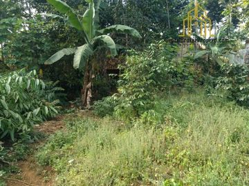 Tanah Investasi dalam Gang dii Ciwaru Ujungberung Bandung | SANDYSUDIANA