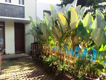 For Rent 2BR Fully Furnished Minimalis Cozy Home at Cipete