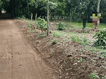 Tanah Strategis LT 1630m Dekat Kawasan Industri Cikampek