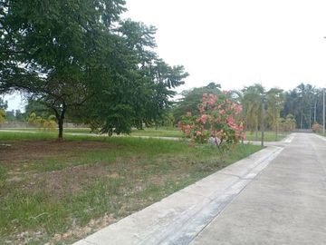 Lot For Sale in Villa Sta. Catalina Brgy. Valladolid Car2x