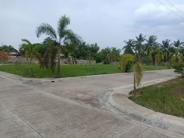 Lot For Sale in Villa Sta. Catalina Brgy. Valladolid Car2x