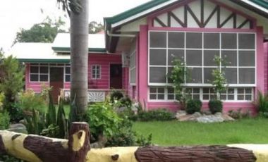 House and Lot for Sale in Bauang, La Union (SOLD)