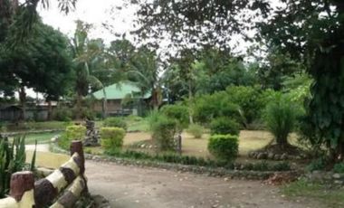 House and Lot for Sale in Bauang, La Union (SOLD)