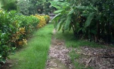House and Lot for Sale in Bauang, La Union (SOLD)