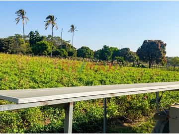 Terreno De 2.28Ha Con Casa De Campo En Jayanca A 3 Min De La Ciudad