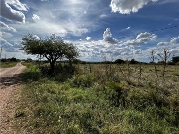 Vendo Campo de 3 hectáreas en Concepción del Uruguay, Entre Ríos.