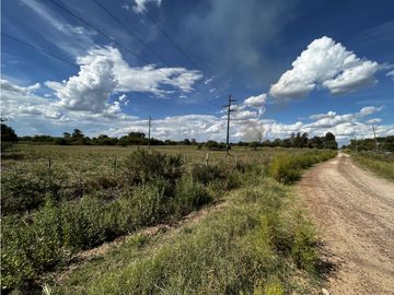 Vendo Campo de 3 hectáreas en Concepción del Uruguay, Entre Ríos.