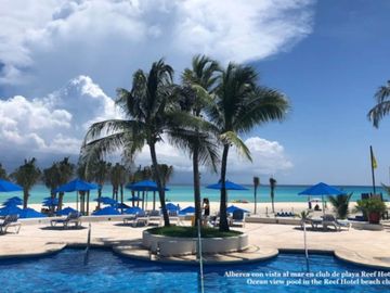Departamento con plunge pool, terraza vista verde, venta Ikal Living Playacar