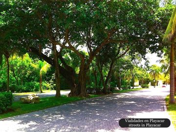 Departamento con plunge pool, terraza vista verde, venta Ikal Living Playacar