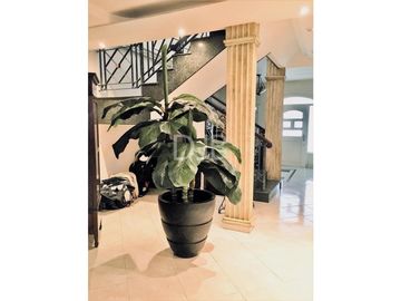 Vendo Casa en El Avance en Betania $430.000 #341
