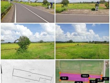 Tanah Dijual View Sawah dan Gunung daerah Bongkasa, Abiansemal, Badung