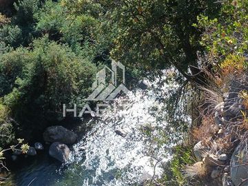 Local Comercial en Venta en Siete tazas