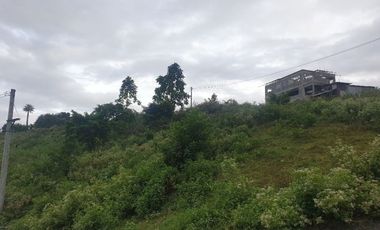 CORNER LOT 290 Sqm for Sale in Greenwoods near Talamban Cebu City with Mountain View